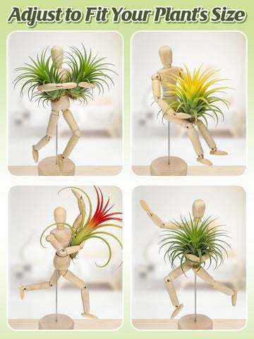 ANPHSIN 8.6-inch stand fits air plants of various sizes