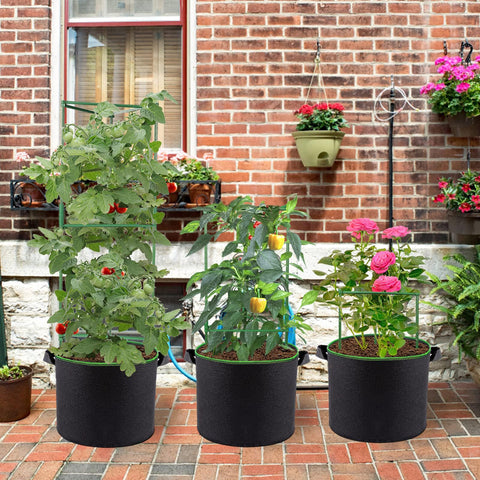 ANPHSIN adjustable height cages grow with plants, reducing crowding and sun exposure.