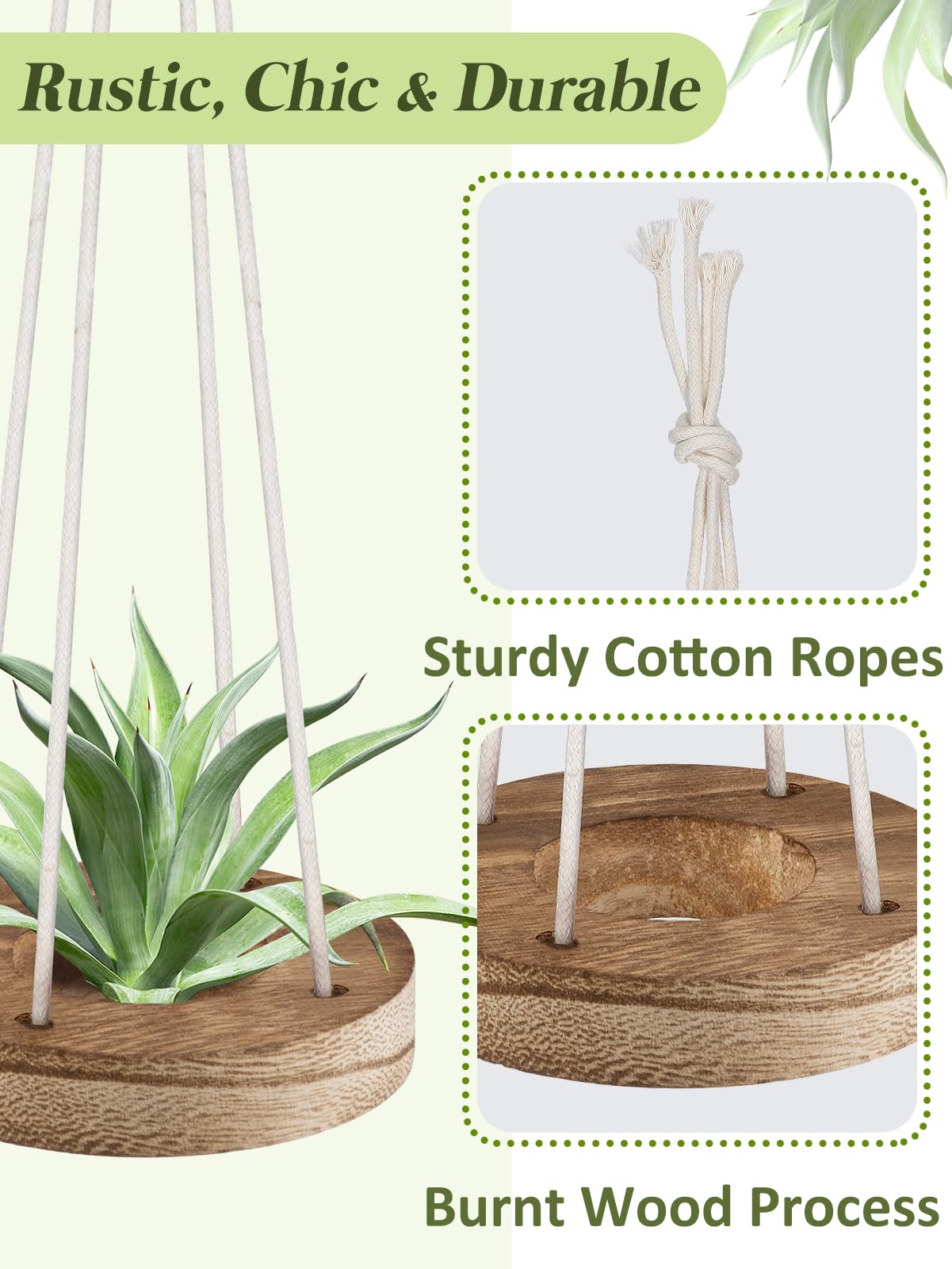 ANPHSIN burnt-wood texture air plant display adds rustic charm to any room.