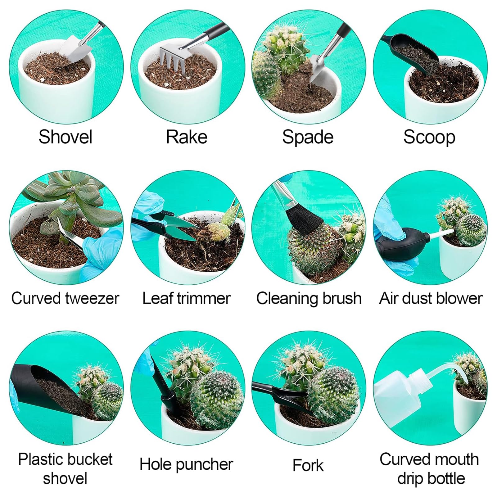 ANPHSIN curved-mouth drip bottle allows controlled watering for delicate plants.