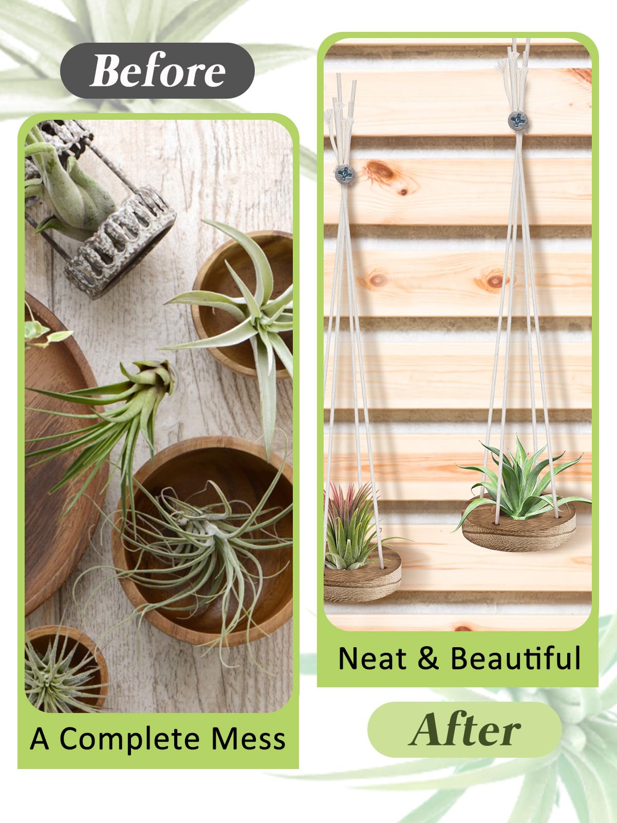 ANPHSIN four cotton ropes ensure strong support for hanging air plants.