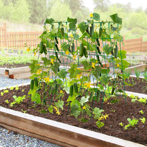 ANPHSIN included green ties help secure climbing plants to the trellis.