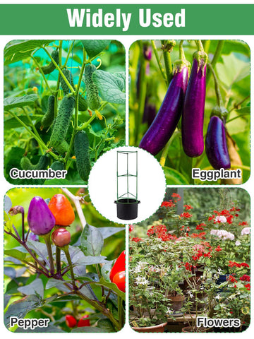 ANPHSIN carrying handles on grow bags enable quick reposition for sunlight.