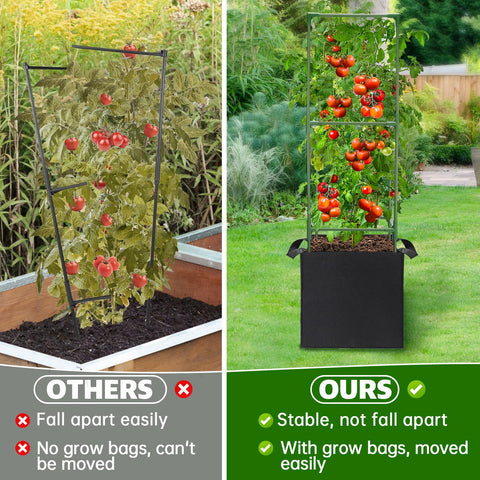 ANPHSIN 10-gallon grow bags support healthy root growth and portability