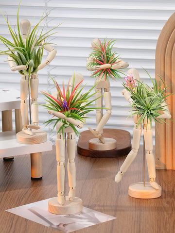 ANPHSIN mannequin air plant stand demonstrates a creative pose for shelves
