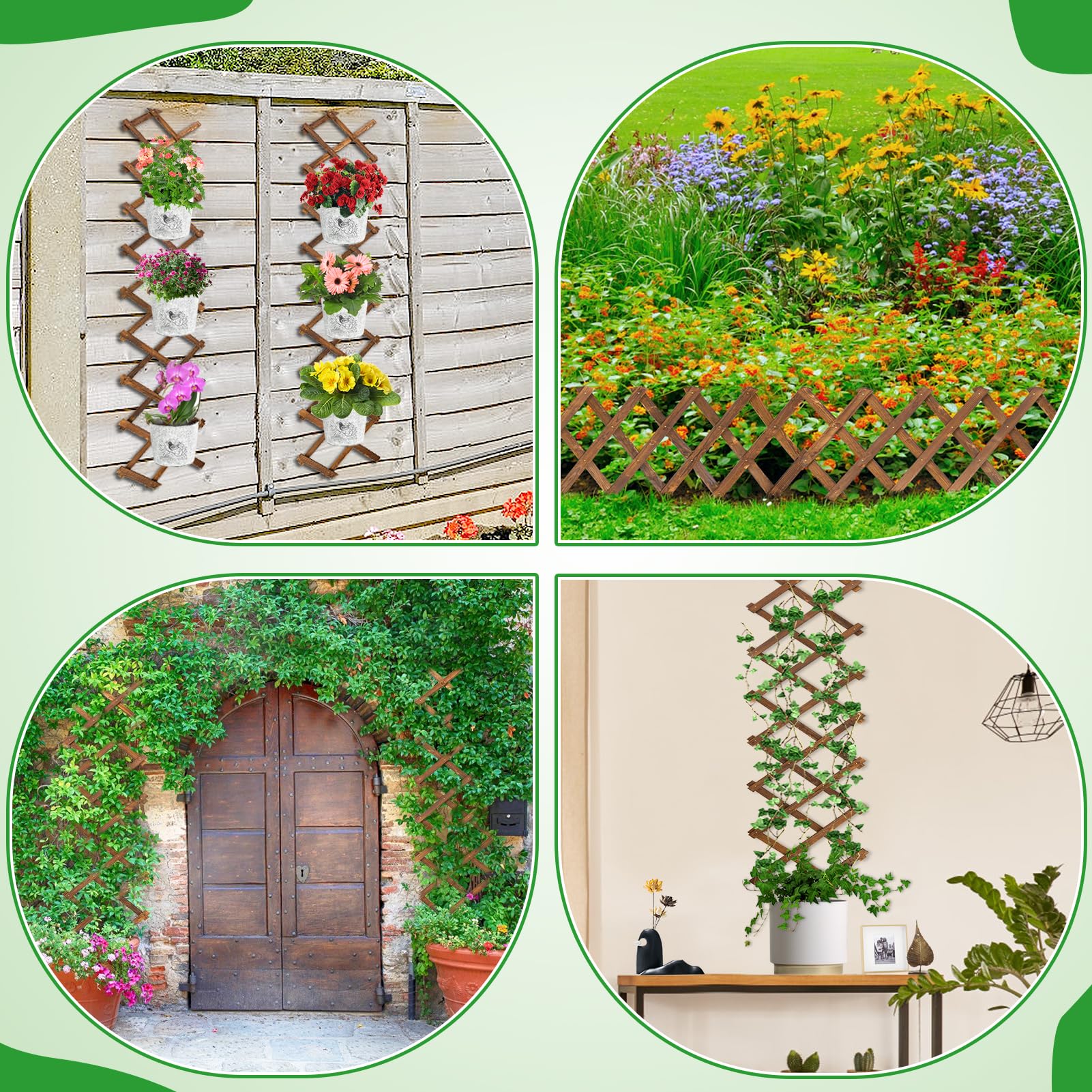 ANPHSIN Pack 2 room display blends plants and photos for warmth