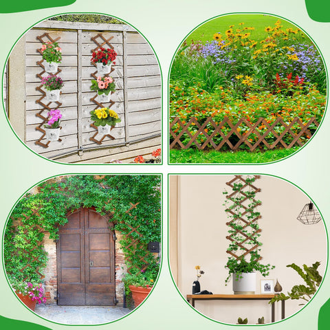 ANPHSIN Pack 2 room display blends plants and photos for warmth
