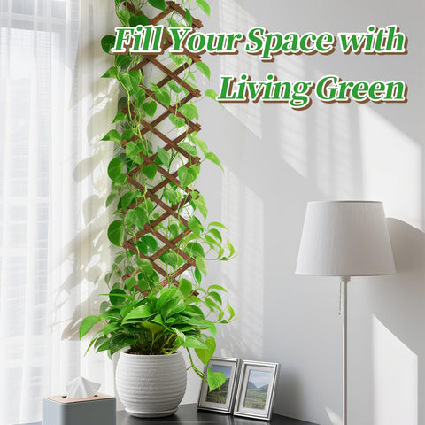 ANPHSIN Pack 2 vertical garden setup shows versatile wall mounting