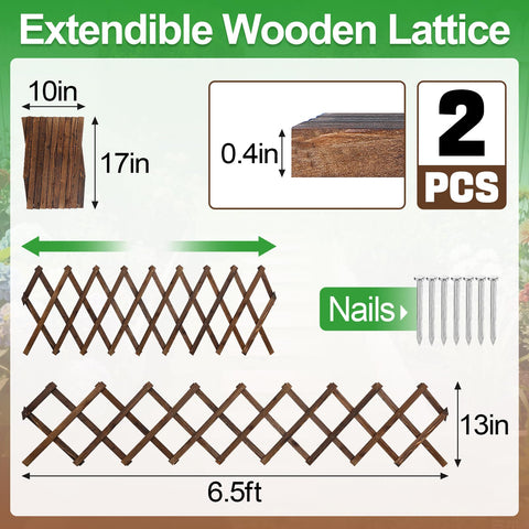 ANPHSIN Pack 2 decorative trellis decor supports vines on indoor walls