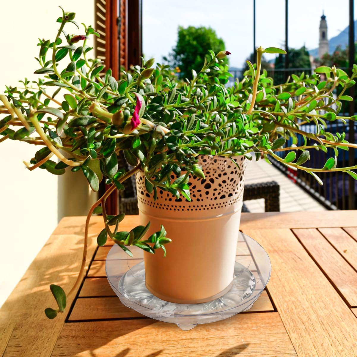 ANPHSIN clear-bottom plant saucer with leaf-grain detail for subtle decor.