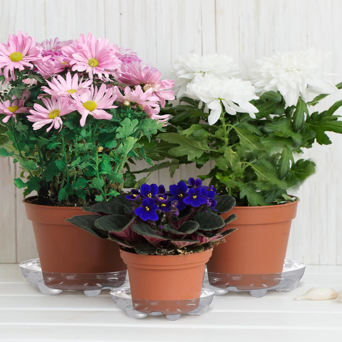 ANPHSIN leaf-grain design saucer with feet adds stability and style.