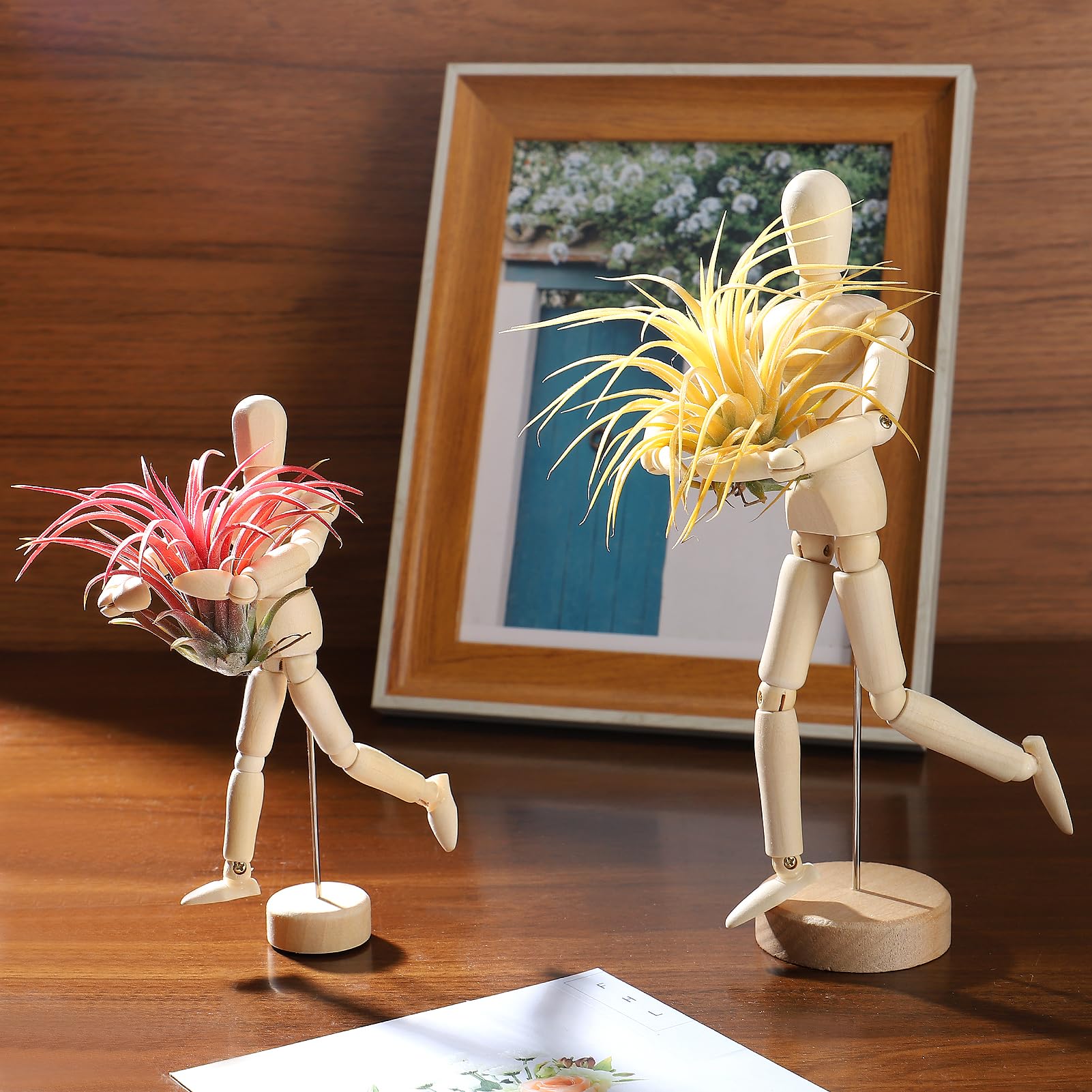 anphsin premium schima wood air plant display unit with sturdy moisture-resistant support.