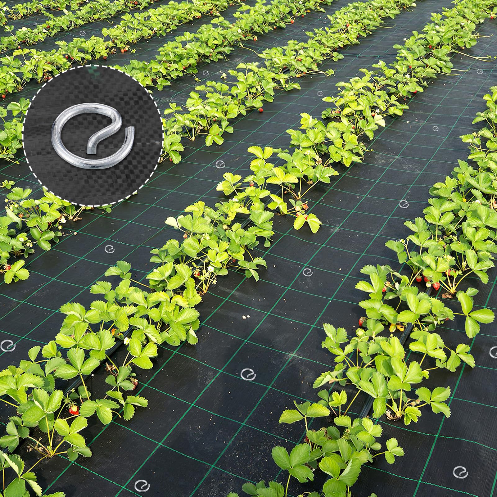 ANPHSIN round-top ground stake in soil demonstrates strong hold