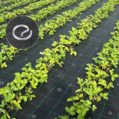 ANPHSIN round-top ground stake in soil demonstrates strong hold