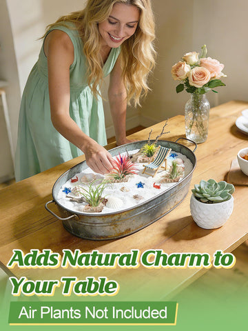 anphsin sea shell pot on desk adds ambience with minimal clutter.