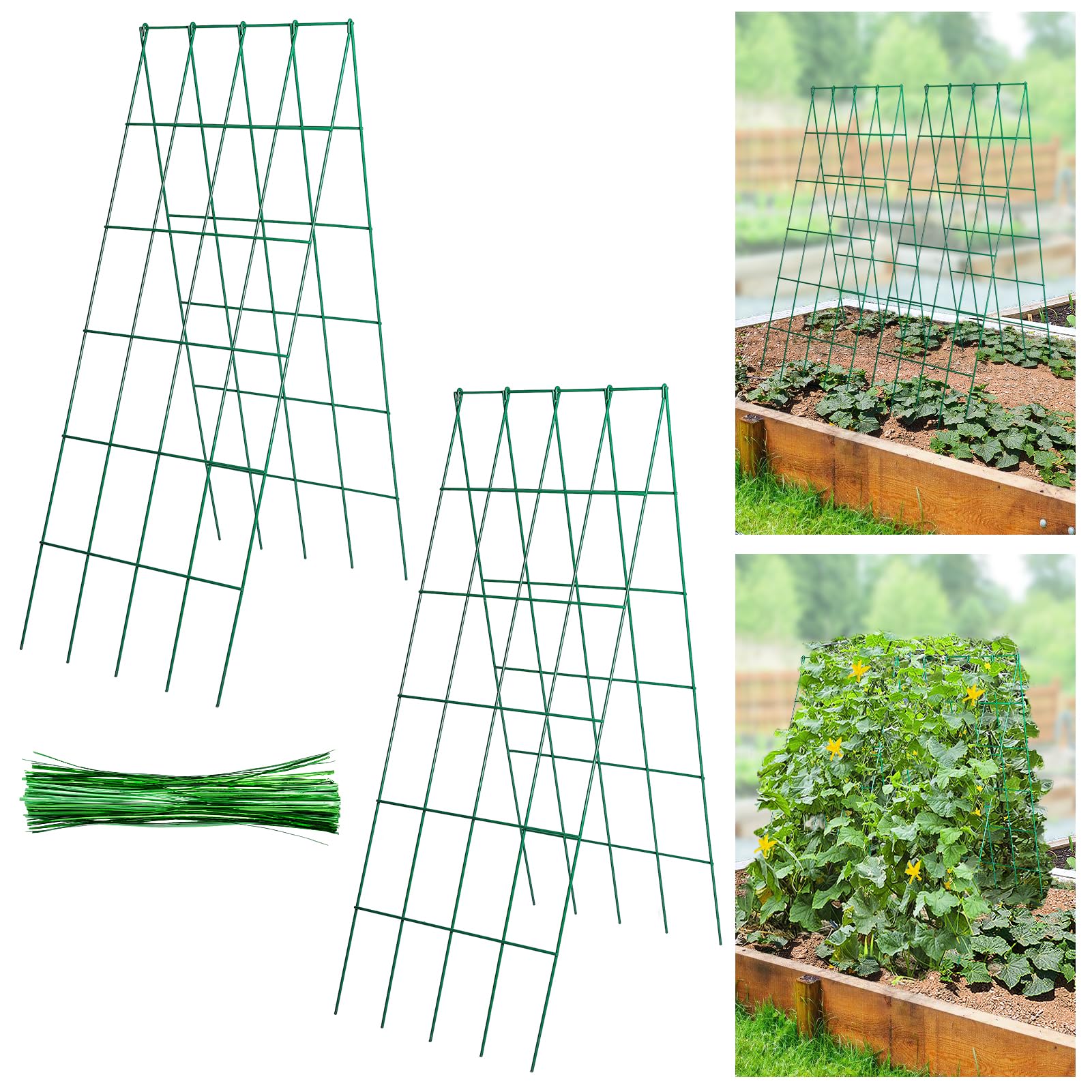 ANPHSIN stable cucumber trellis assembly with sturdy frame for garden support.
