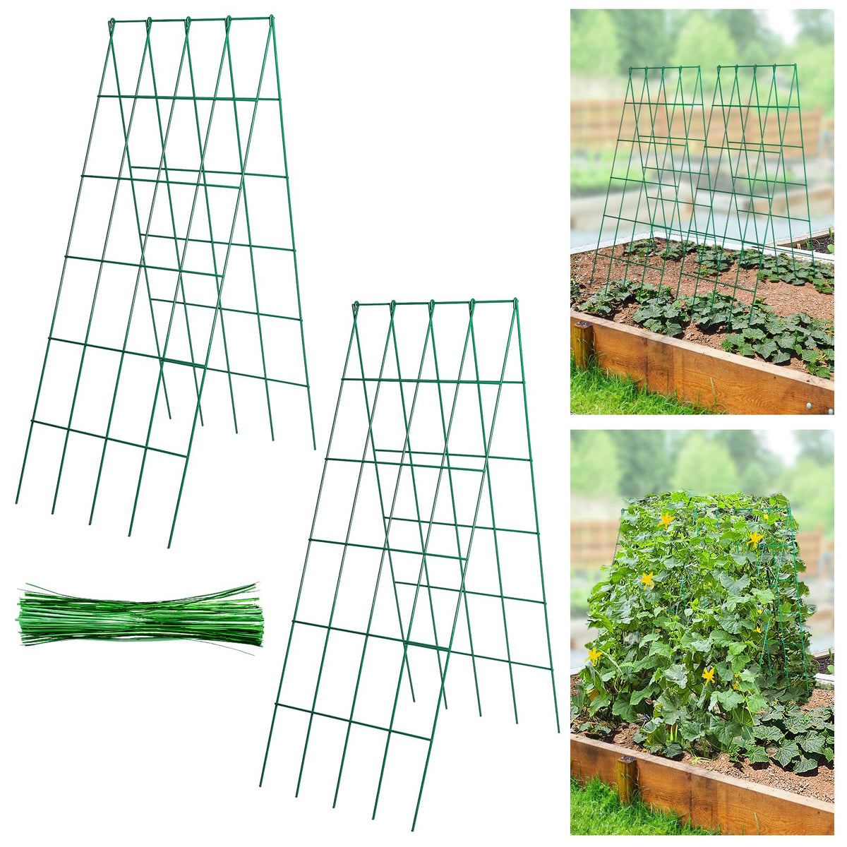 ANPHSIN stable cucumber trellis assembly with sturdy frame for garden support.