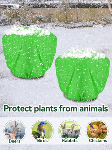 ANPHSIN three-pack winter covers offer versatile protection for shrubs and pots.