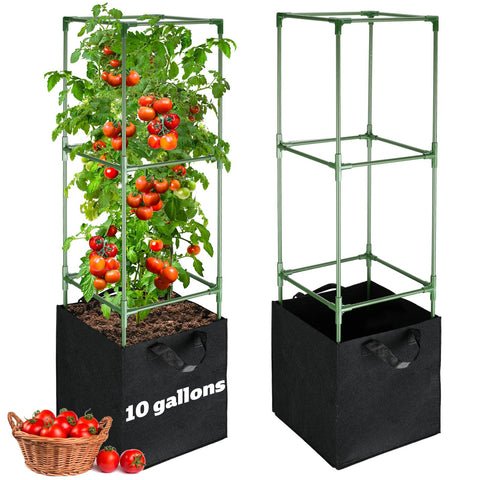 ANPHSIN tomato cages show a stable vertical support setup for climbing plants