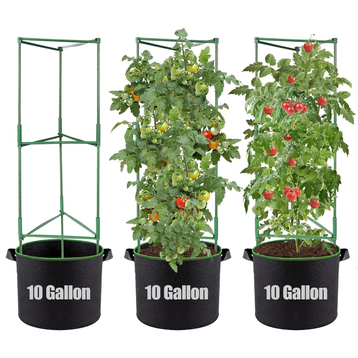 ANPHSIN tomato cages offer 48-inch height for stable vertical growth and easy training.