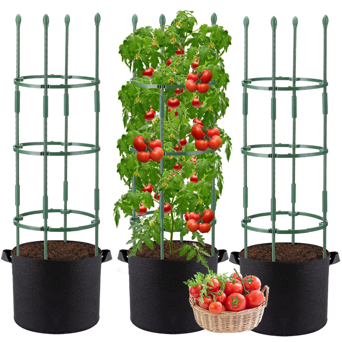 ANPHSIN tomato cages assembly showing sturdy vertical support for climbing plants.