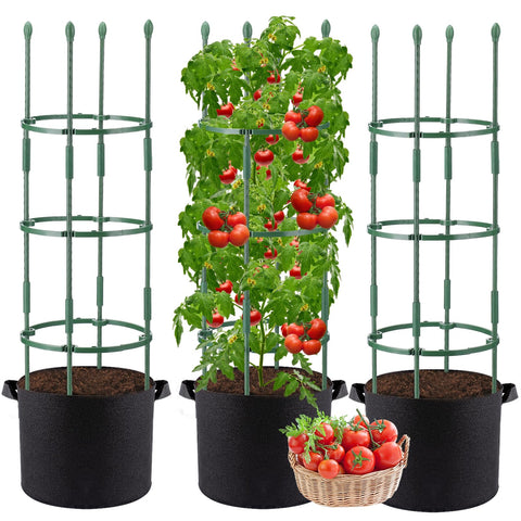 ANPHSIN tomato cages assembly showing sturdy vertical support for climbing plants.