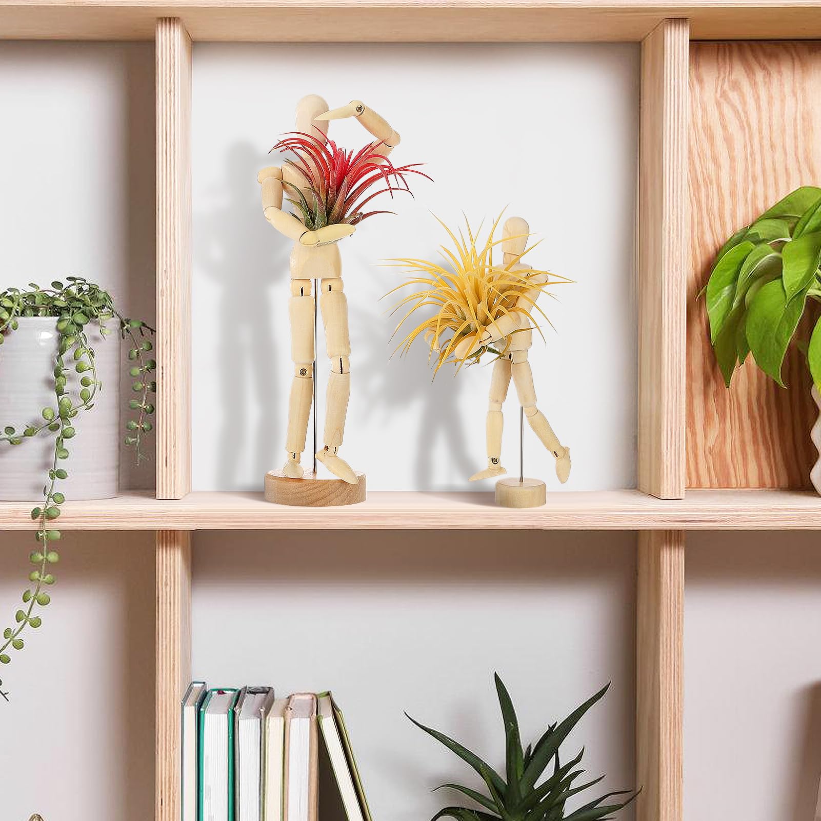 anphsin two-piece air plant display set offers charming home decor.