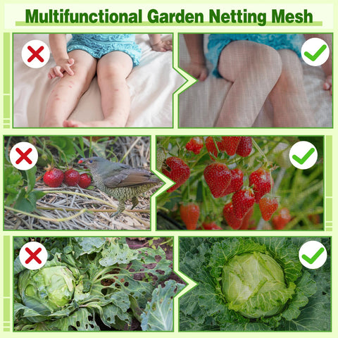 ANPHSIN ultra-fine garden screen keeps pests out without blocking sunlight.