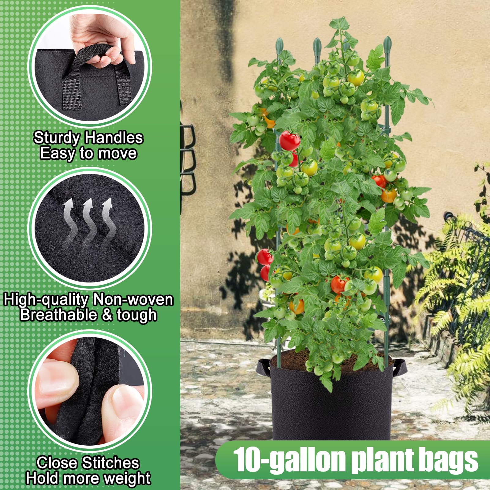 ANPHSIN upward-growth support enabling climbing vegetables like tomatoes and cucumbers.
