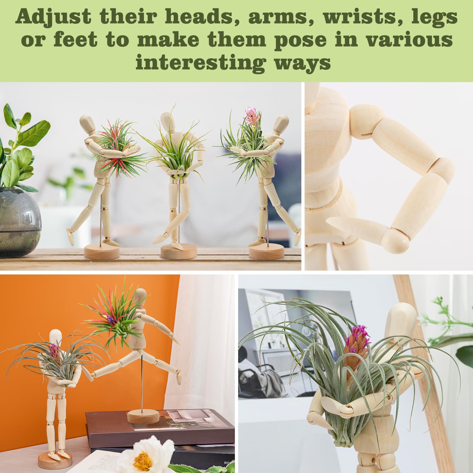 ANPHSIN versatile display for home or office decor