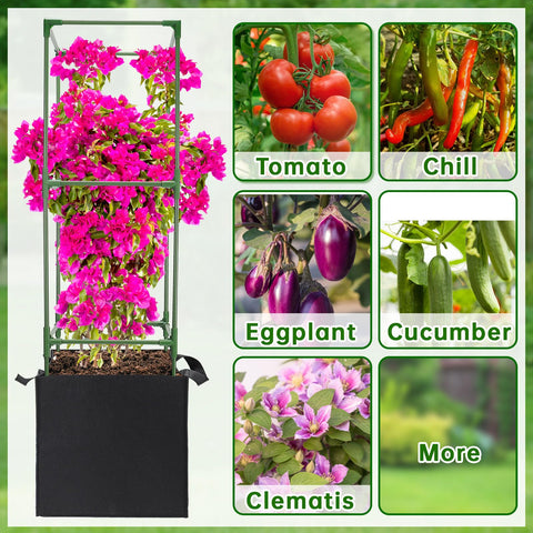 ANPHSIN kit suitable for tomatoes, peppers, cucumbers, and climbers