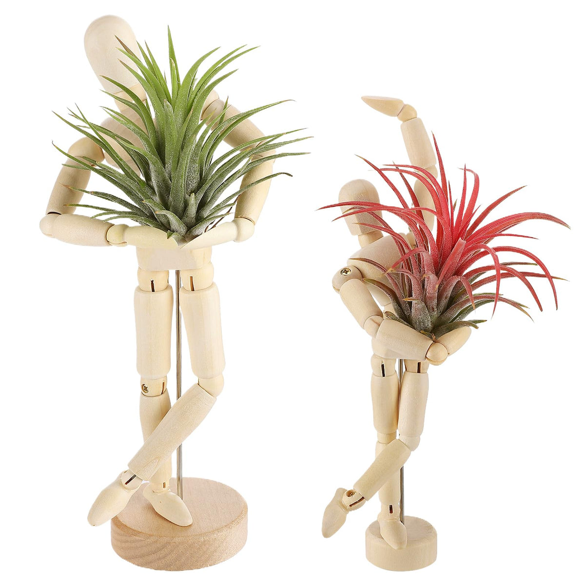 anphsin wooden air plant holder 8.5-inch display with adjustable joints for stylish poses.