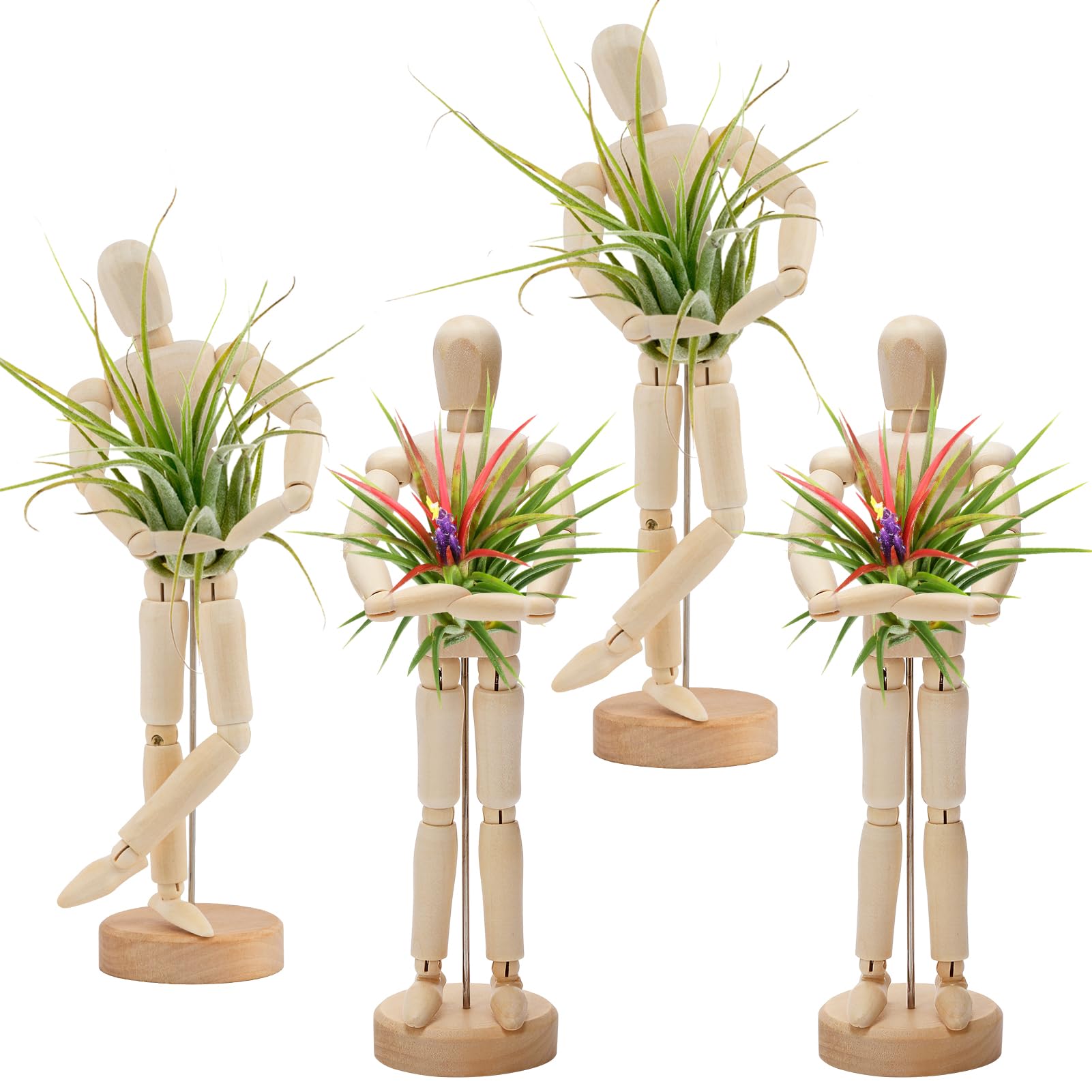 ANPHSIN wooden air plant holder with adjustable joints on a desk