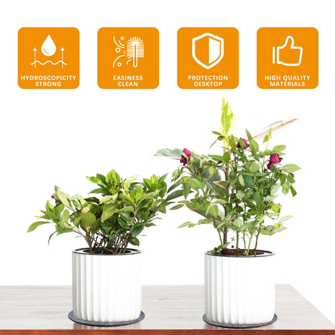 Anpuimult 8-inch absorbent plant coaster shielding surfaces during watering.
