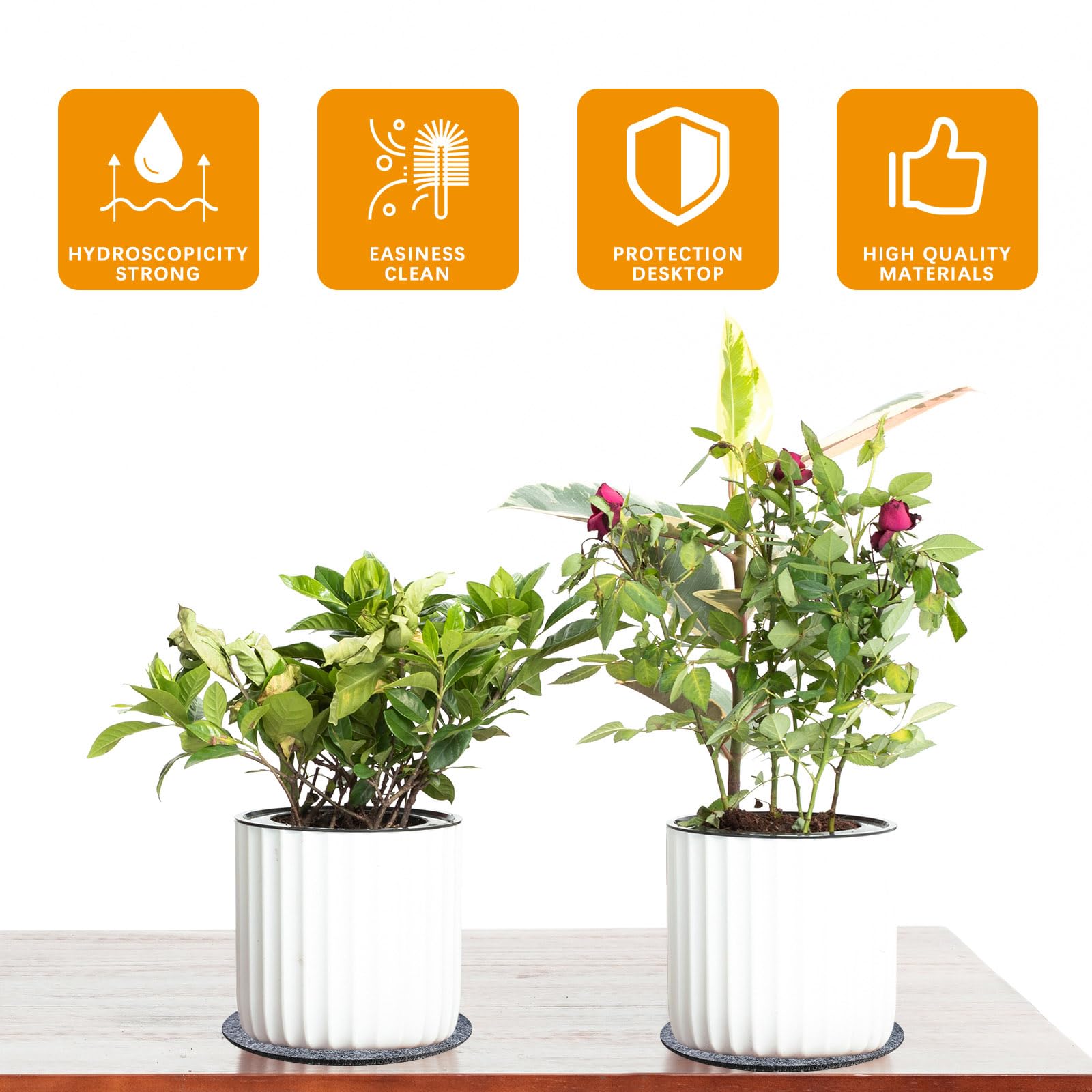 Anpuimult 8-inch round plant coaster under pots for surface protection