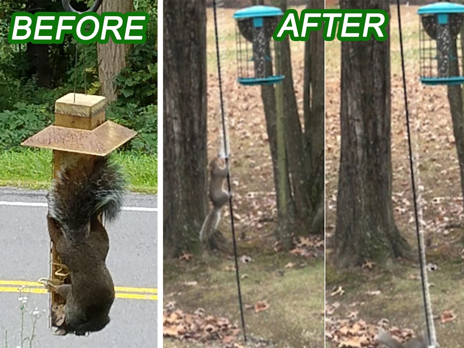 Anranmm durable metal construction resists rust for outdoor use.