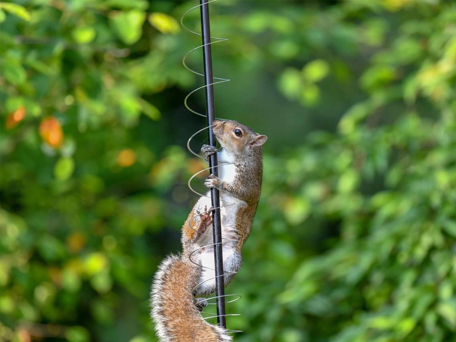 Anranmm easy-hang design requires no adjustments on standard poles.