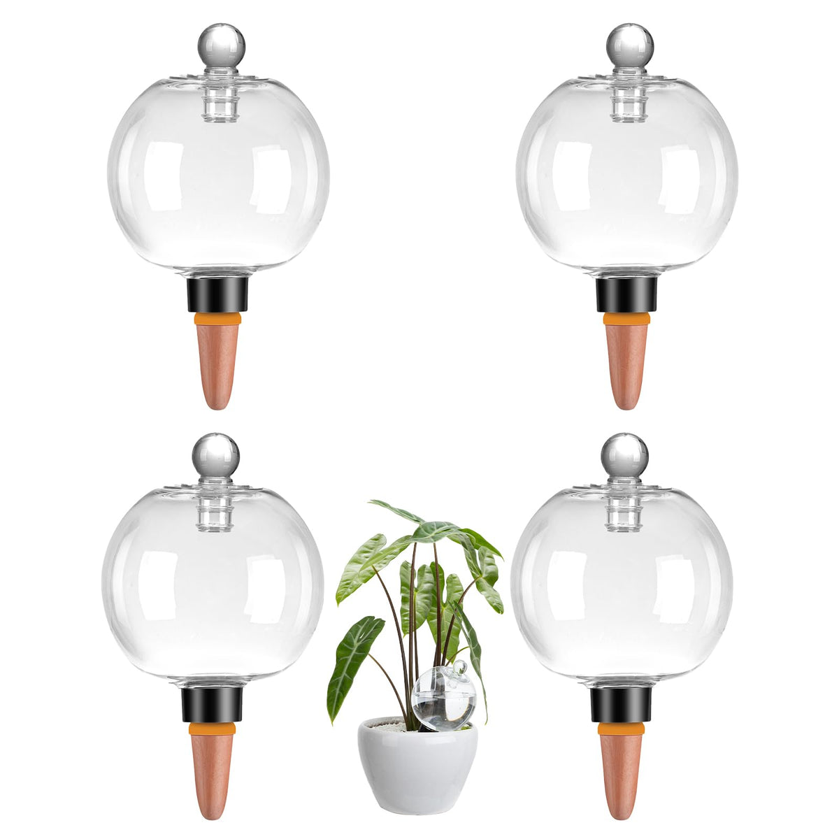 Ansberta 4-pack watering globes with covers in a potted plant, keeping soil evenly moist.