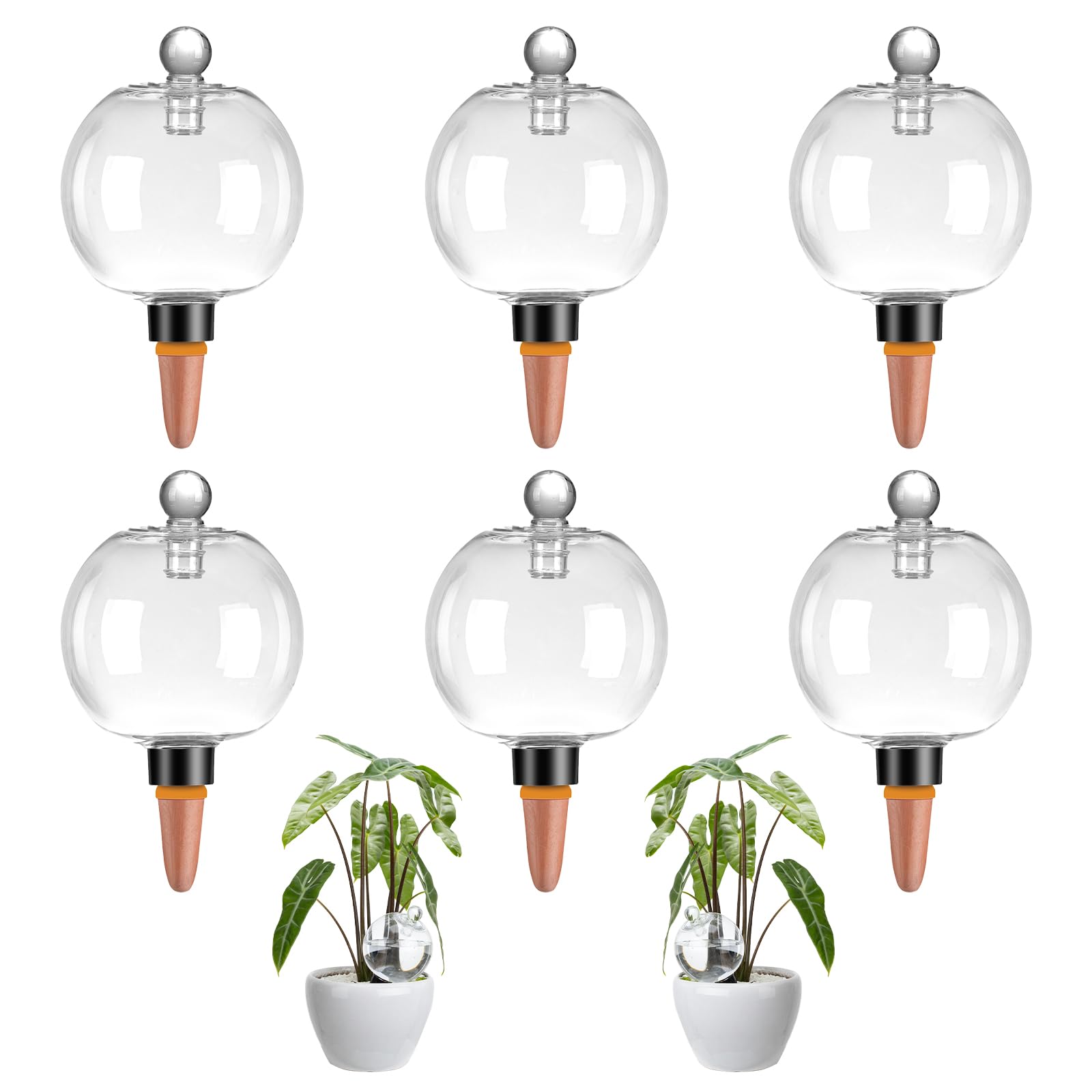 Ansberta 6-pack watering globes in packaging, ready for convenient self-watering setups.
