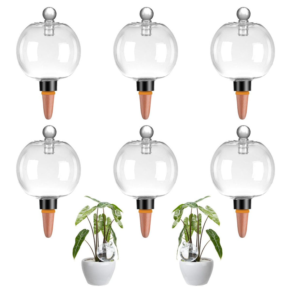 Ansberta 6-pack watering globes in packaging, ready for convenient self-watering setups.