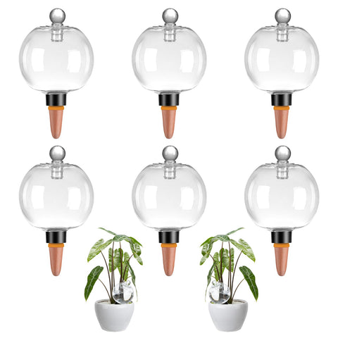Ansberta 6-pack watering globes in packaging, ready for convenient self-watering setups.