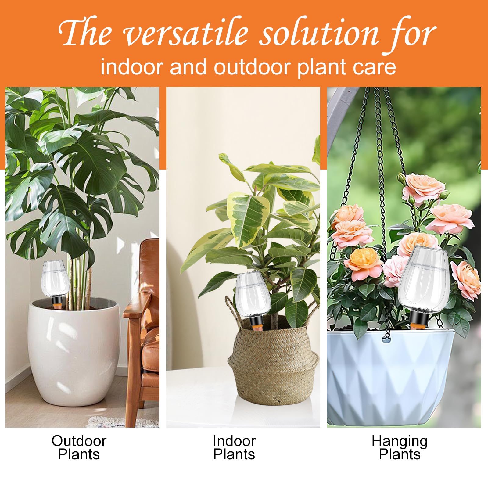 Ansberta gift-ready packaging and display for plant lovers