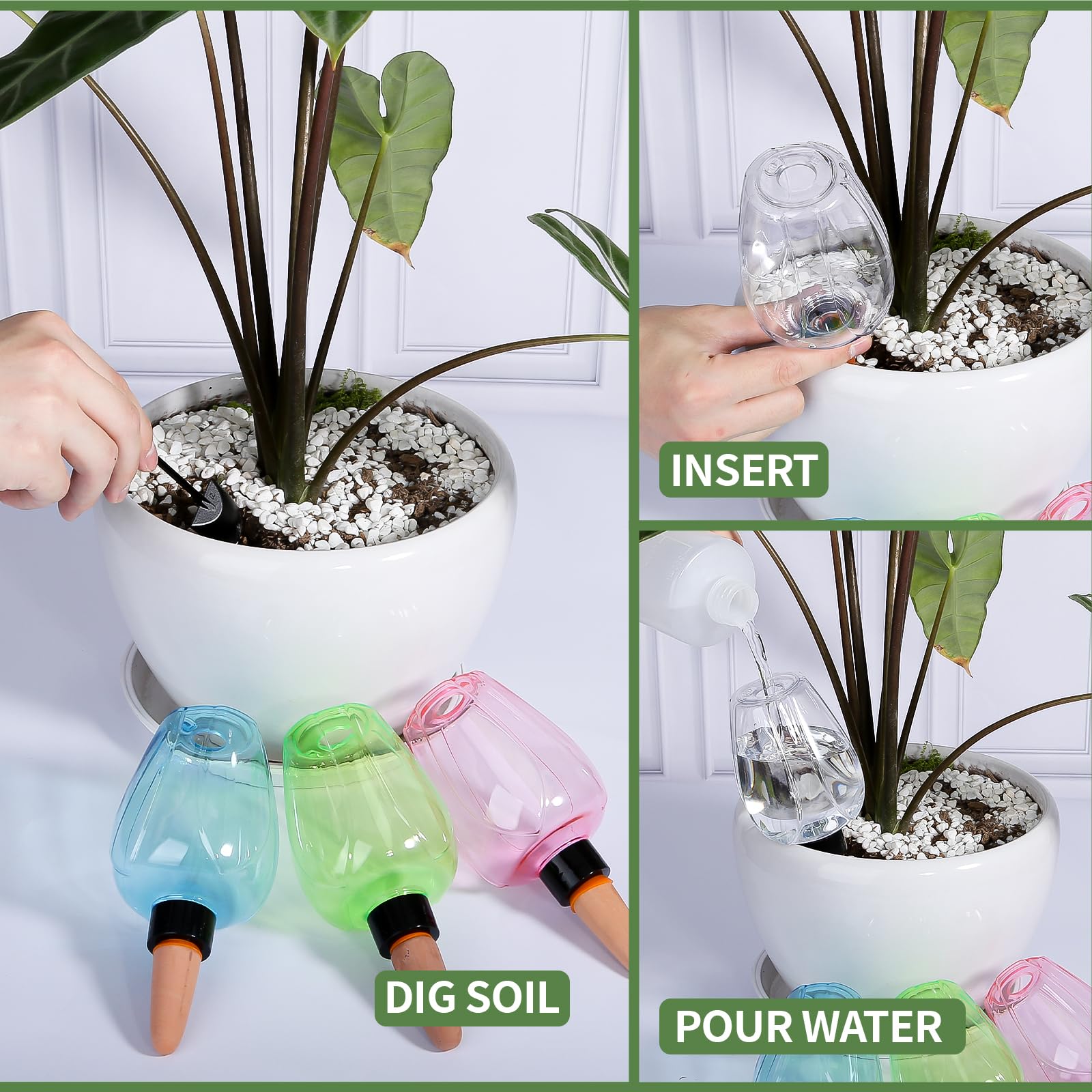 Ansberta globe and soil setup ready to insert, reducing watering frequency