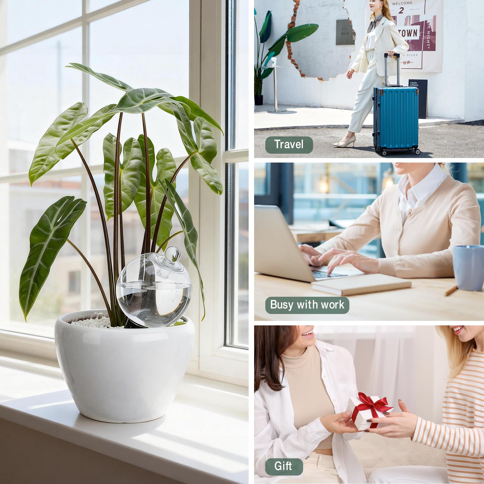 Ansberta plant care gift set for plant lovers, practical and thoughtful.