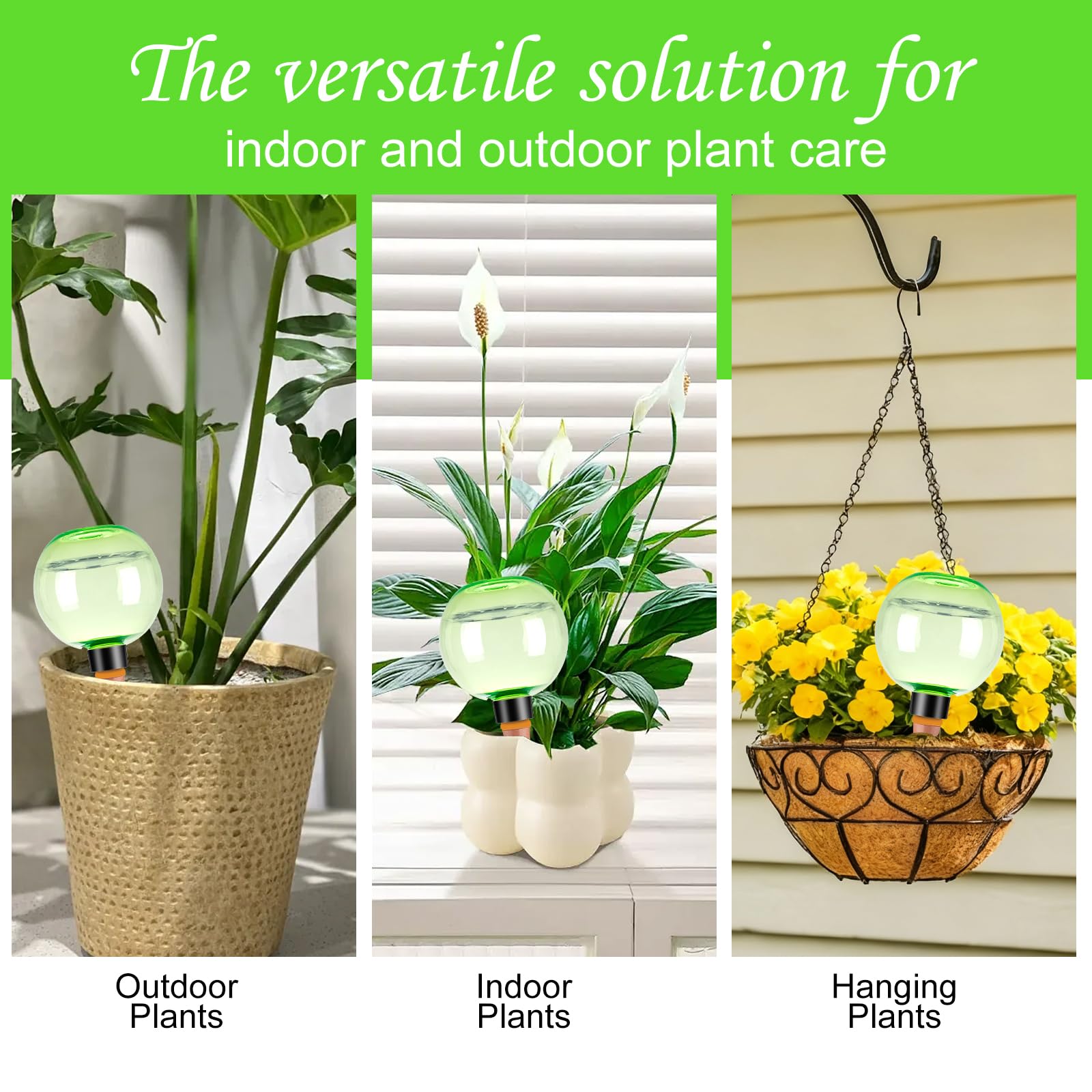 Ansberta gift-ready plant care adds decor and practicality.