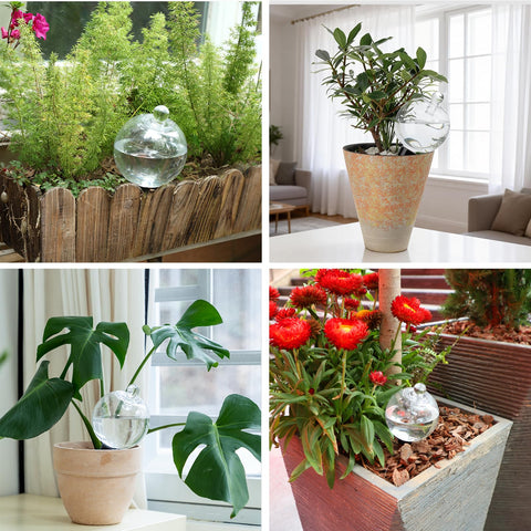 Ansberta watering globe covers closeup highlights easy refilling and leak prevention.