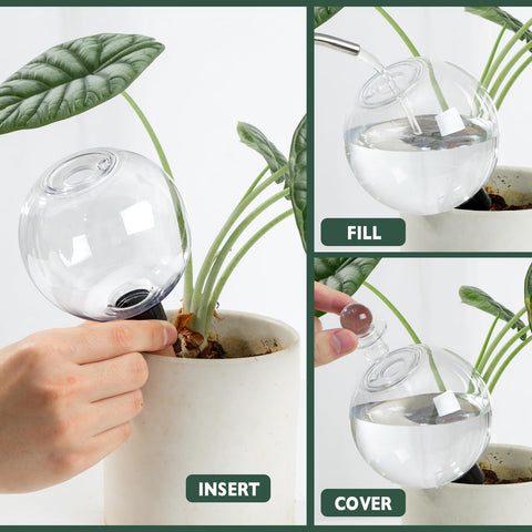 Ansberta watering globes in hanging plants show versatile indoor-outdoor care.