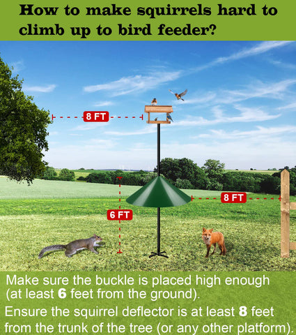 Ansionsol bird feeder pole protector shown guarding a feeder from pest access