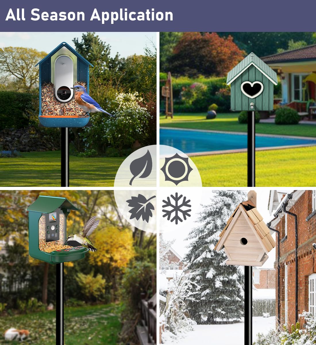 Outdoor bird pole setup suitable for backyard patios and lawns