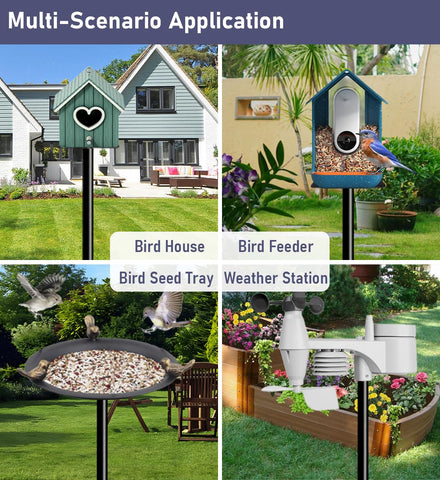 Ansionsol bird pole as a focal outdoor feature for bird watching
